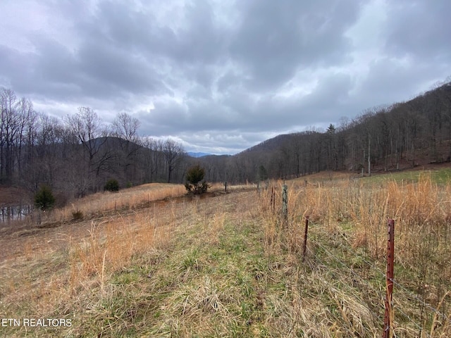 property view of mountains with a rural view