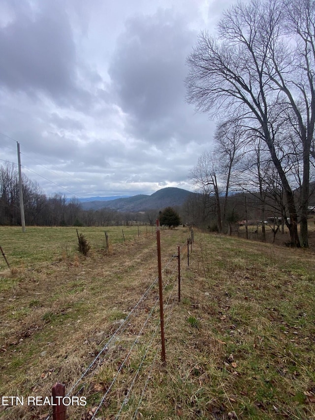 view of yard with a rural view and a mountain view