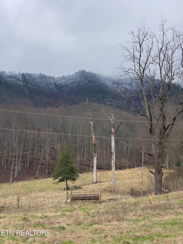 view of property view of mountains