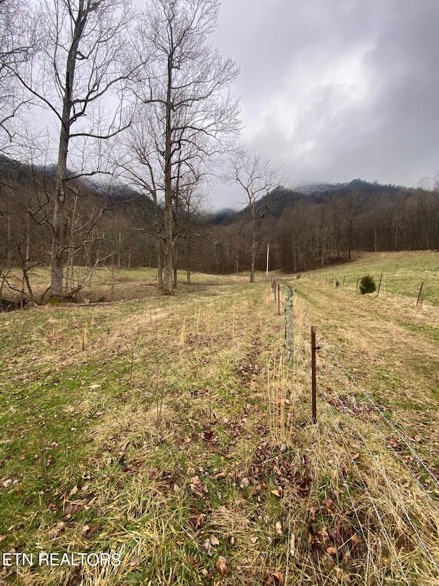 view of yard with a rural view