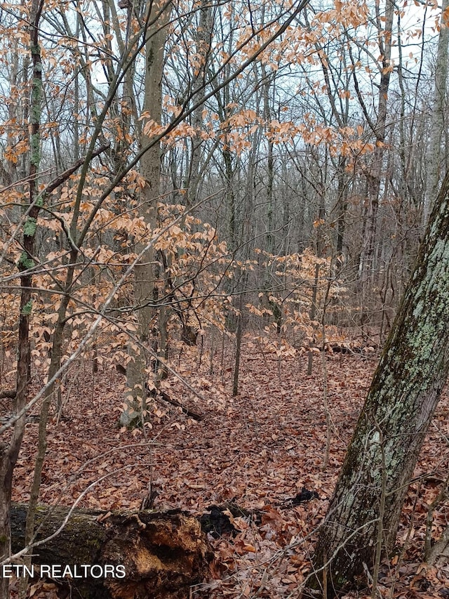 Listing photo 3 for LOT64 Mallard Baye, Rutledge TN 37861