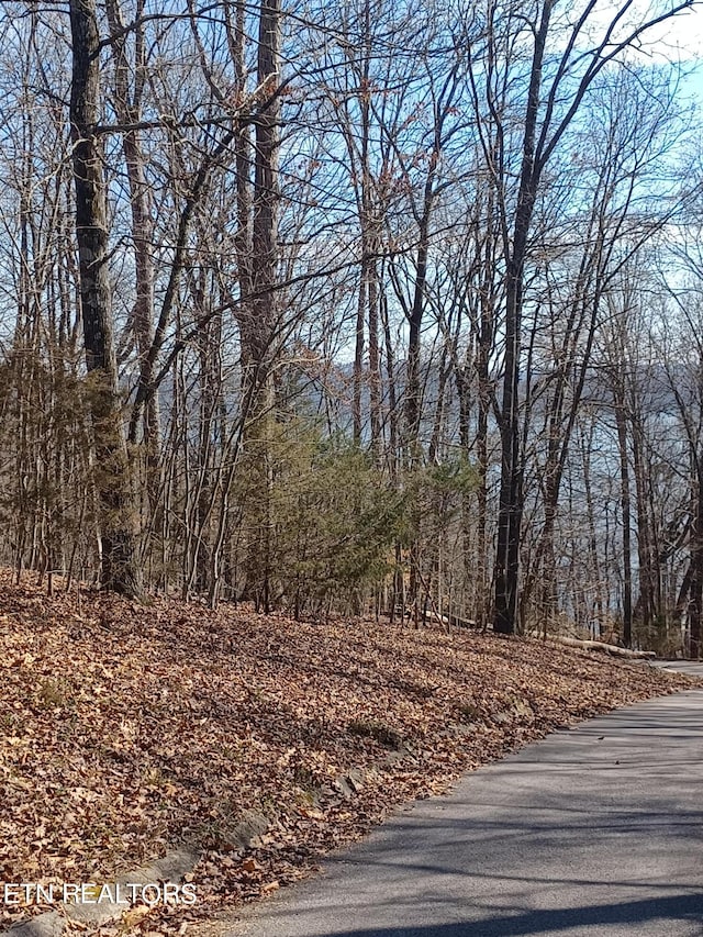 Listing photo 2 for LOT64 Mallard Baye, Rutledge TN 37861