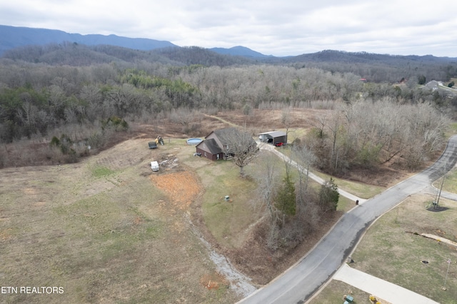 birds eye view of property featuring a mountain view