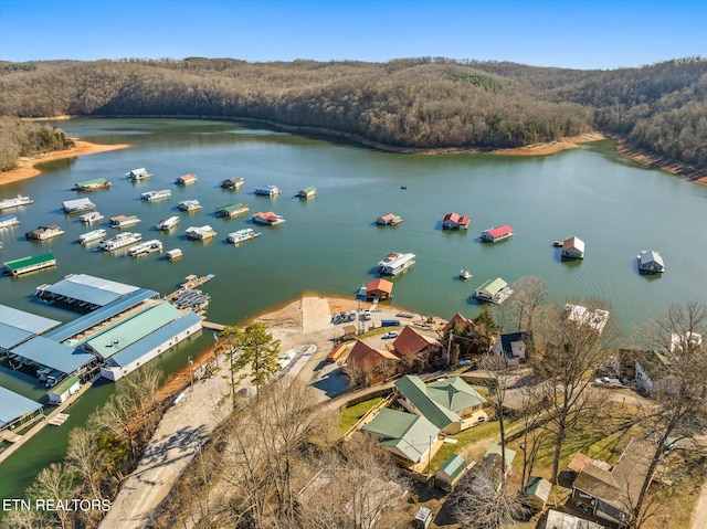 drone / aerial view with a water view