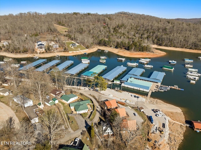 aerial view featuring a water view