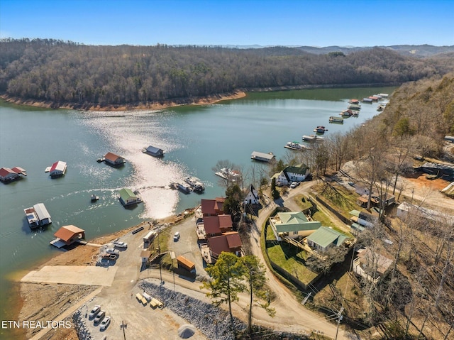 aerial view featuring a water view