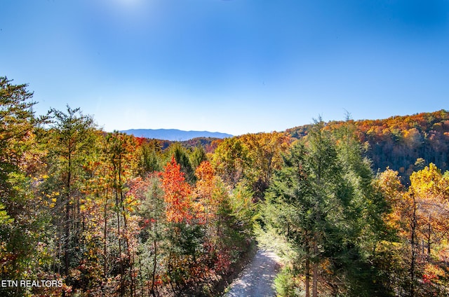 view of mountain feature