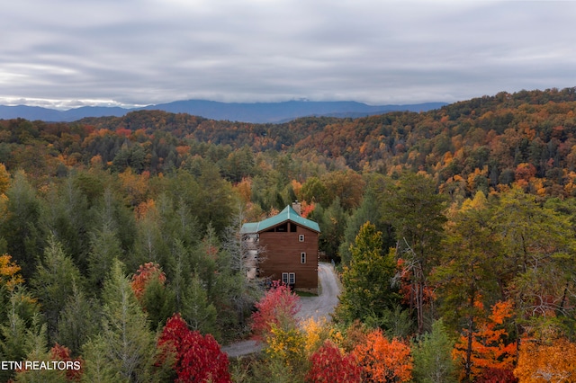 birds eye view of property with a mountain view