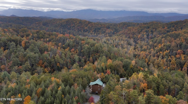 view of mountain feature