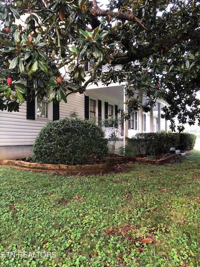 view of front of property featuring a front yard