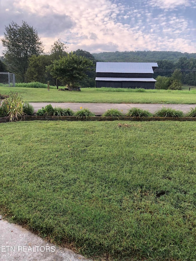 view of yard at dusk