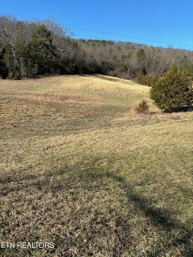 view of nature