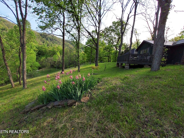 view of yard with a wooden deck