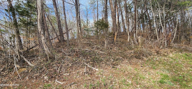 Listing photo 2 for LOT4 Maynardville Hwy, Maynardville TN 37807