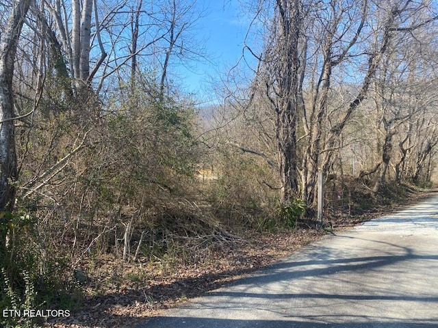 Woodson Ln, Lafollette TN, 37766 land for sale