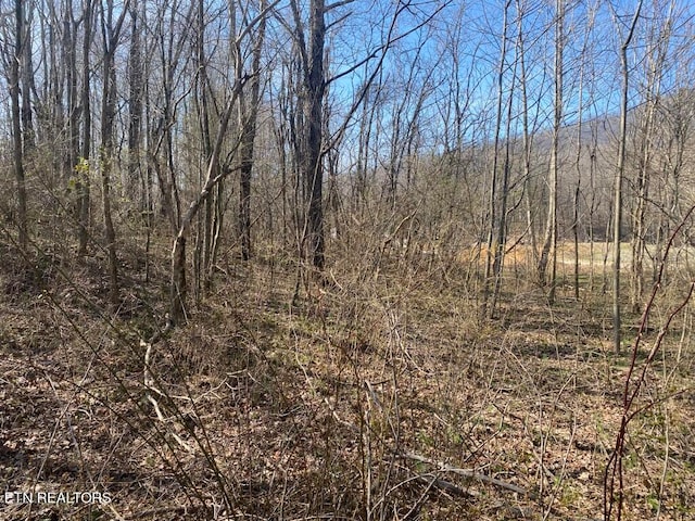 Listing photo 3 for Woodson Ln, Lafollette TN 37766