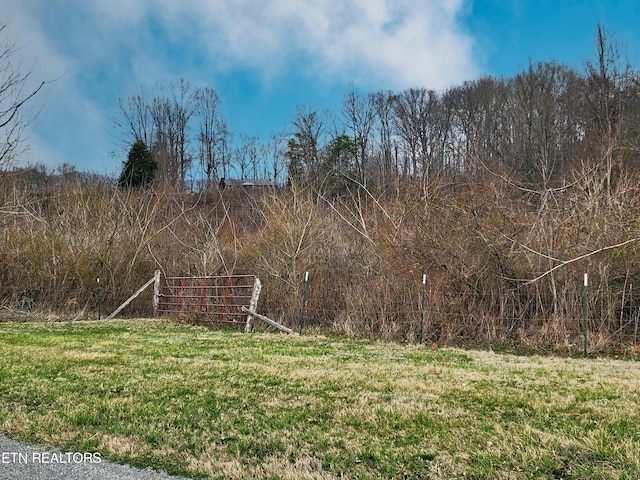 W High Knob Rd, Lafollette TN, 37766 land for sale