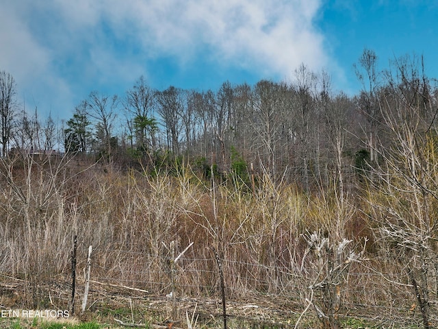 Listing photo 2 for W High Knob Rd, Lafollette TN 37766