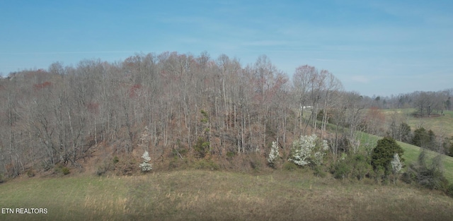 Listing photo 2 for White Ln, Lafollette TN 37766