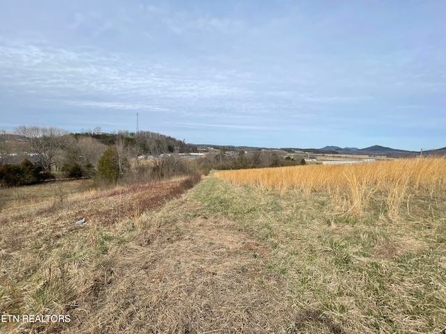 Listing photo 3 for 2.51AC High St, Tellico Plains TN 37385