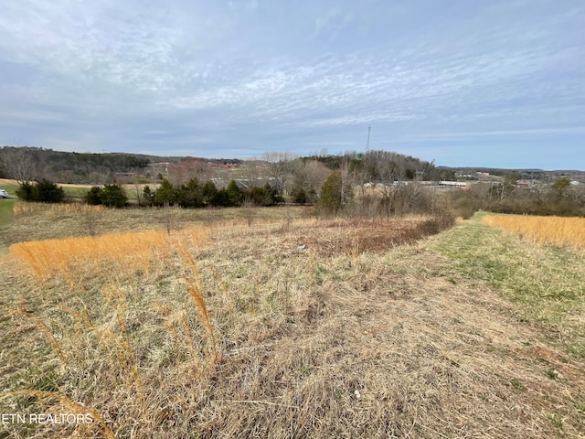 2.51AC High St, Tellico Plains TN, 37385 land for sale