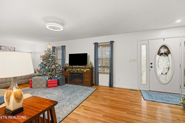 living room with wood-type flooring