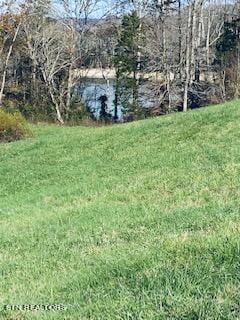 Listing photo 3 for Bob Wright Rd, Maynardville TN 37807