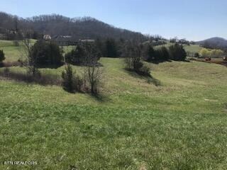 Ruth Cir, Sharps Chapel, TN 37866 - photo 5
