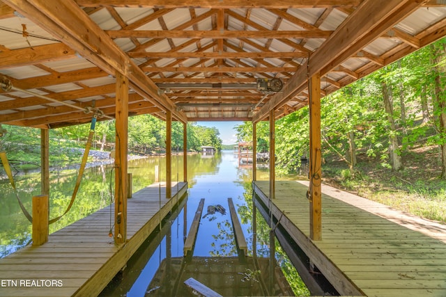 dock area with a water view