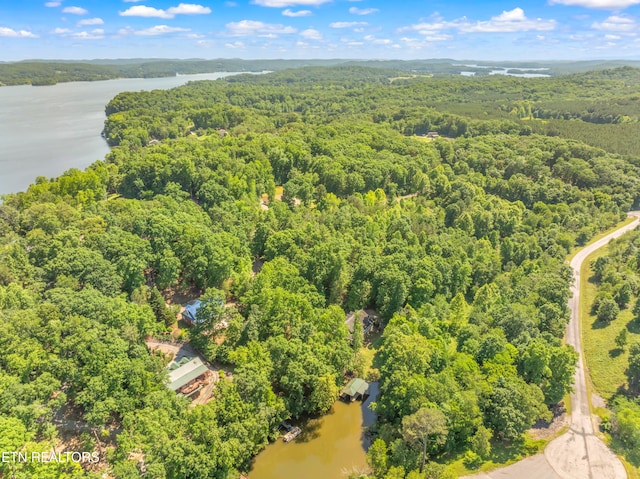 drone / aerial view with a water view