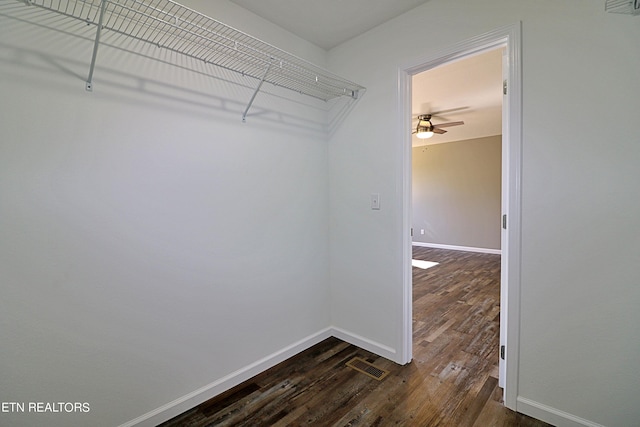 walk in closet with dark hardwood / wood-style flooring and ceiling fan