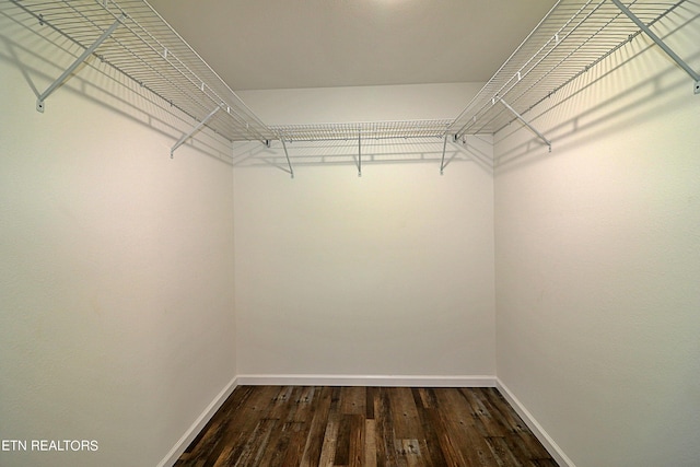 walk in closet featuring dark wood-type flooring