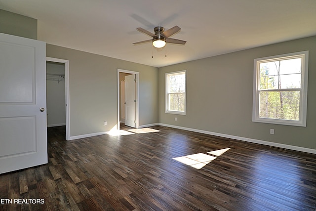 unfurnished bedroom with a spacious closet, a closet, ceiling fan, and dark hardwood / wood-style floors