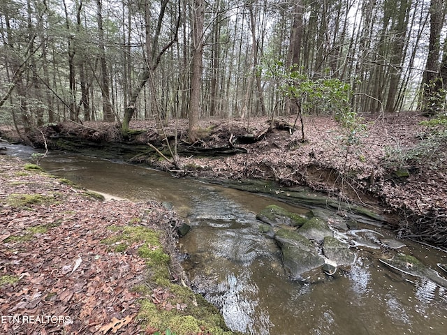 view of mother earth's splendor with a water view