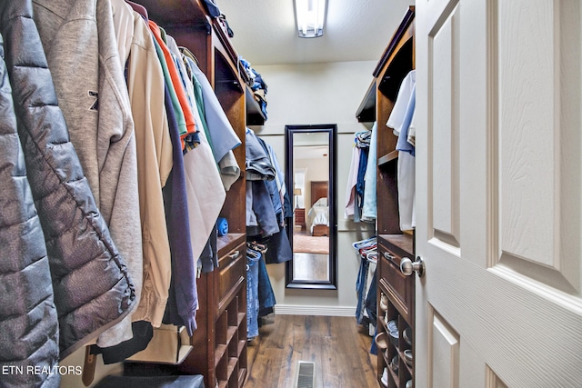 spacious closet featuring dark wood-type flooring