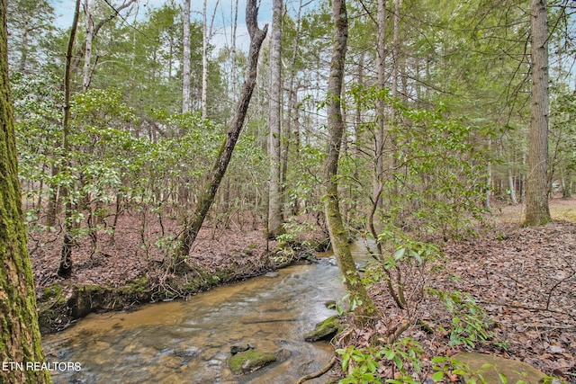 view of nature featuring a water view