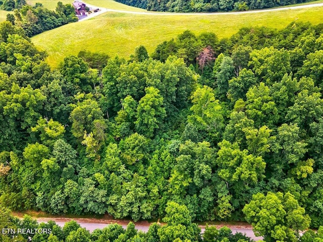 Listing photo 2 for LOT453 Silver Trl, New Tazewell TN 37825