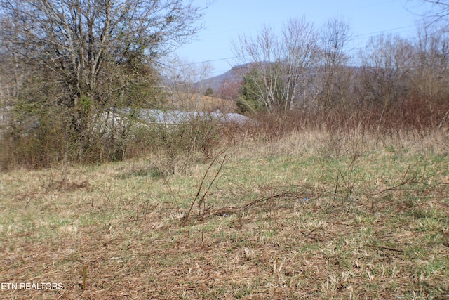 Listing photo 2 for LOT16 Mockingbird Cir, Harrogate TN 37752