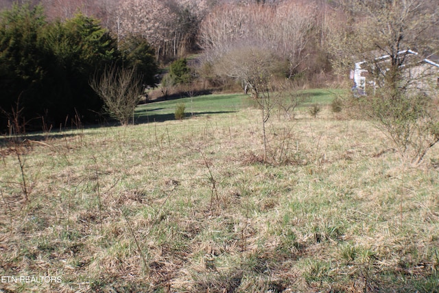 Listing photo 2 for LOT17 Mockingbird Cir, Harrogate TN 37752