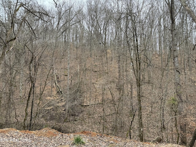 Bunch Hollow Rd, New Tazewell TN, 37825 land for sale