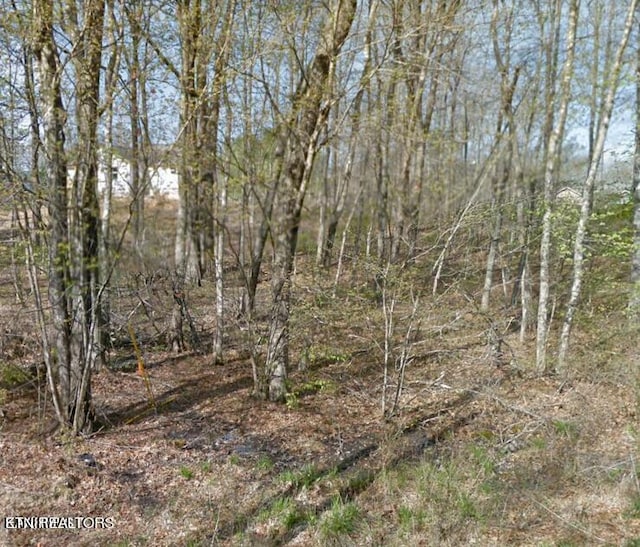 Listing photo 3 for 4030 Kila Dr, Crossville TN 38572