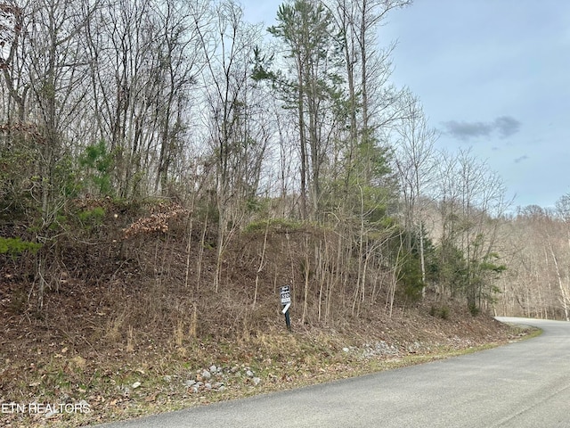 LOT520 Mystic Star Dr, New Tazewell TN, 37825 land for sale