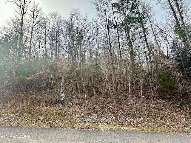 Listing photo 3 for LOT520 Mystic Star Dr, New Tazewell TN 37825