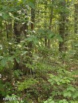 1022 Ewa Dr, Crossville TN, 38572 land for sale