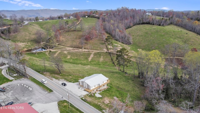 aerial view with a mountain view