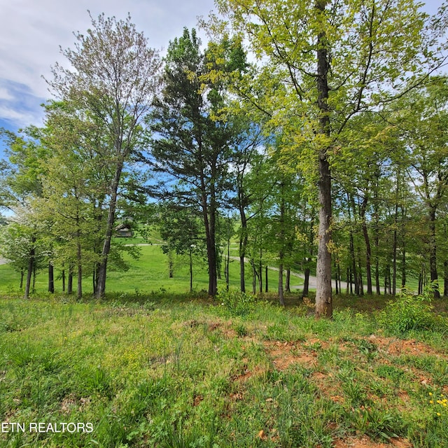 Listing photo 3 for LOT92R Majestic Cir, Dandridge TN 37725