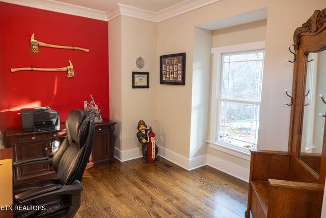 office space featuring a healthy amount of sunlight, crown molding, and dark hardwood / wood-style flooring