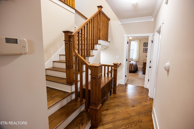 stairs with dark hardwood / wood-style floors and crown molding