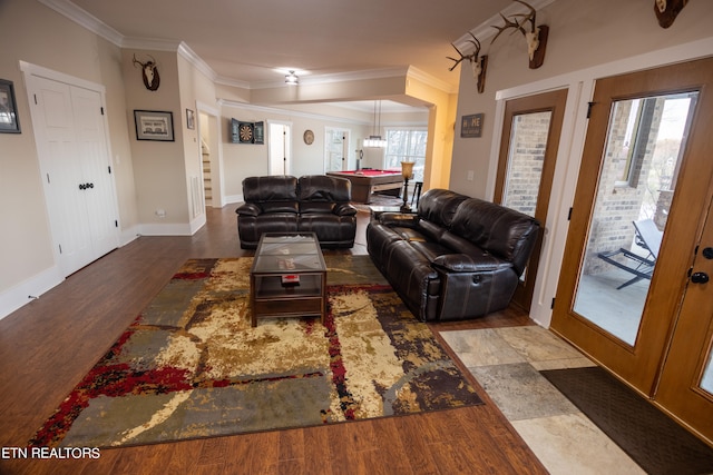 living room with billiards, crown molding, and dark hardwood / wood-style floors