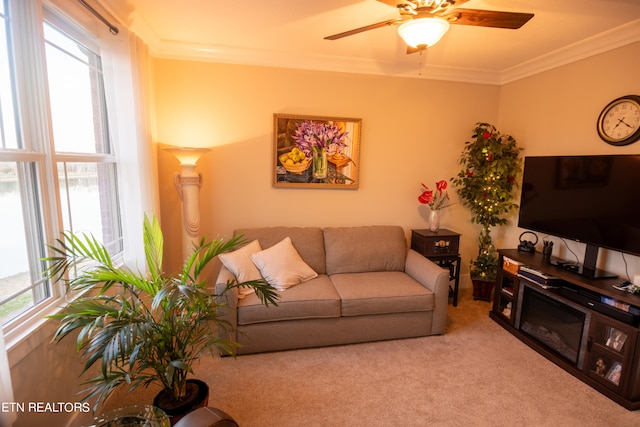 living room with light carpet, ornamental molding, and ceiling fan